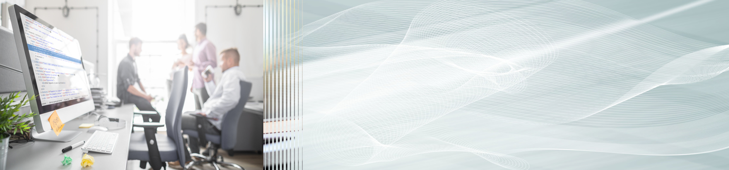 Systemanalyse, individuelle Programmerstellung